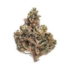 Alien Cookies Marijuana Strain Hobart