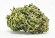 buy amnesia haze marijuana australia