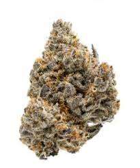 Blissful Wizard Marijuana Strain Maitland