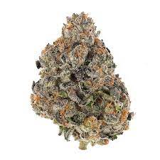 Mag Landrace Marijuana Strain Wodonga