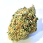 razzleberry kush weed