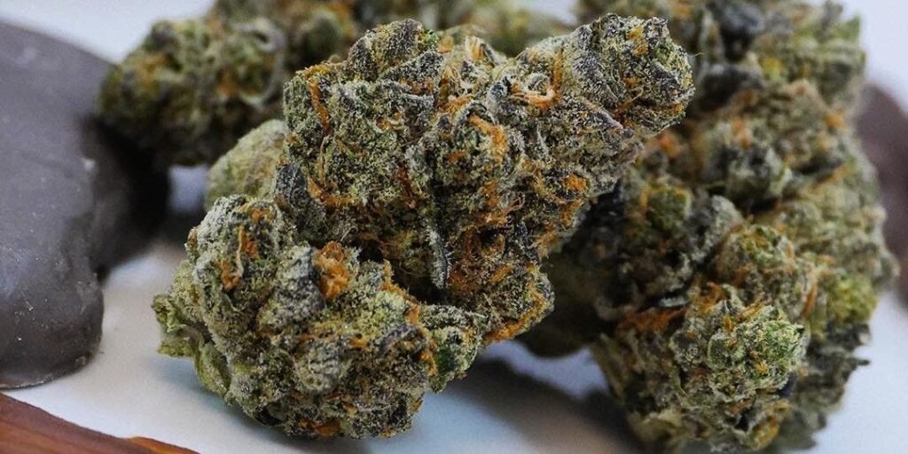 Premium cannabis strains available for Perth weed delivery