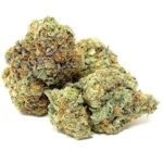 Buy Girl Scout Cookies Hybrid Strain Perth