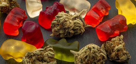 Premium cannabis strains available for Hobart weed delivery