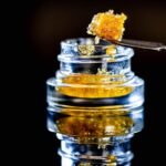 Cannabis Concentrates