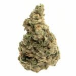 Florida Sunrise Marijuana Strain