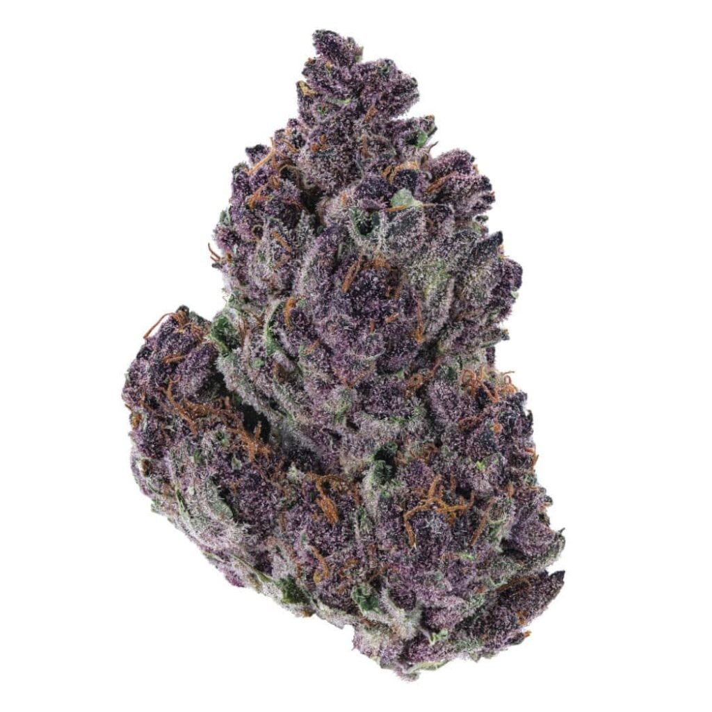 buy granddady purple kush in australia